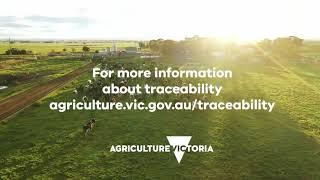 What is traceability?