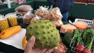 Рынок в Паско. Прогулка. Обзор. США 2024. Flea Market in Pasco. Review. WA. USA 2024