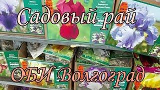  Шикарный выбор цветочных многолетников в ОБИ ВОЛГОГРАД ️ Охото скупить ВСЕ !!! Распродажа в ОБИ