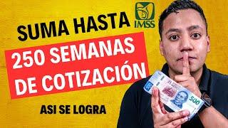 + Semanas Cotizadas a tu PENSIÓN: Pago Retroactivo en Modalidad 40 del IMSS