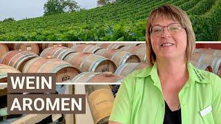 In 3 Stationen zum Geschmack im Wein