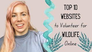 Top 10 Websites to Volunteer for Wildlife Online