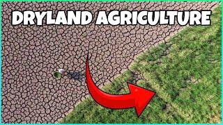 Dryland Agriculture: How to do Farming with Less Water