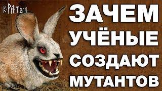 ТОП 7 ЖИВОТНЫХ СОЗДАННЫХ ЧЕЛОВЕКОМ. ЗАЧЕМ УЧЁНЫМ БИОРОБОТЫ - МУТАНТЫ. ШОКИРУЮЩИЕ НАУЧНЫЕ ОПЫТЫ С ДНК