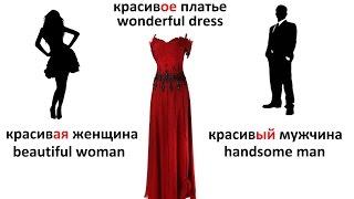 Russian grammar rules. Gender of nouns in Russian language