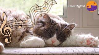 Calming Music for Cats - 20 HOURS of 528Hz Healing Music 