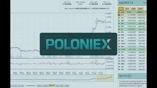 Бот для poloniex. Обзор бота на бирже poloniex!