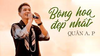 Quân A.P - Bông hoa đẹp nhất - bản live mới nhất - Live Mây in The Nest