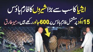 Asia's Biggest Lions Farm House in Multan