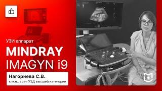 Отзыв на УЗИ аппарат Mindray Imagyn i9