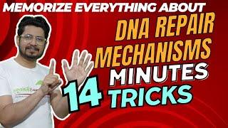 DNA repair mechanisms csir net | tricks to remember fast | NER, BER, MMR, direct repair tricks