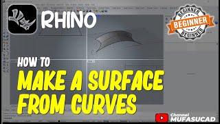 Rhino How To Make A Surface From Curves