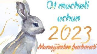 Ot muchali uchun Munajjimlar bashorati #2023