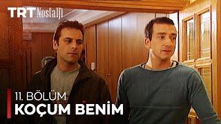 Koçum Benim 11. Bölüm