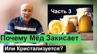 № 136 Почему Мёд Закисает или Кристализуется,Хранение Мёда | Пчеловодство для начинающих  Пасека