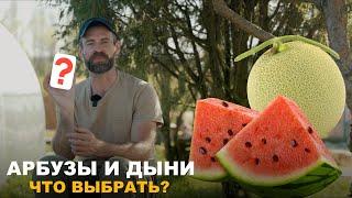 КАК ВЫРАСТИТЬ ВКУСНЫЕ АРБУЗЫ И ДЫНИ? Уже пора высевать на рассаду!