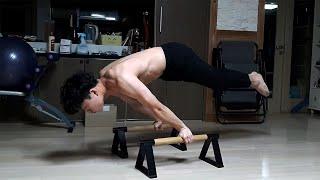 고등학생 1년 반 동안의 플란체 과정 (동기부여) | 1.5 Year Planche progression