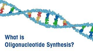 What is Oligonucleotide Synthesis?