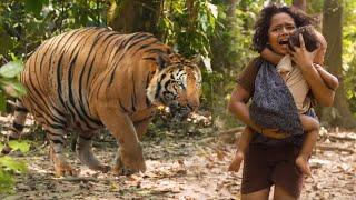 Tollywood Biggest Blockbuster Tiger Fight Scene | Mohanlal | Namitha | Tollywood Talkies