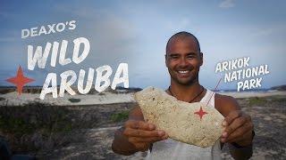 Aruba Local Tips: Secret Swimming Holes, Authentic Food and More!