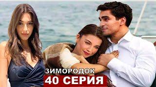 ЗИМОРОДОК 40 серия русская озвучка
