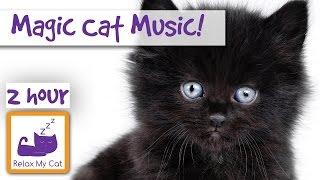 Magic Cat Music! Watch Your Cat Fall Asleep Before Your Eyes with Our Specially Designed Cat Music!