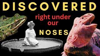 NEW SPECIES Found in Plain Sight - Pink Iguanas, Giant Water Lilies, and Frogs in New York City