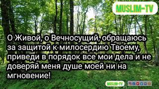 Поминание Аллаха вечером азкары с переводом чтец Мишари Рашид