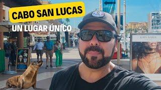 CABO SAN LUCAS  Tienes que visitarlo / 4K México