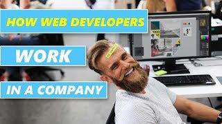 How Web Developers work together in a Company