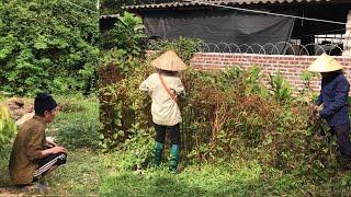 HELP SINGLE OLD MAN Clean up Her House and Overgrown Garden For AMAZING Transformation