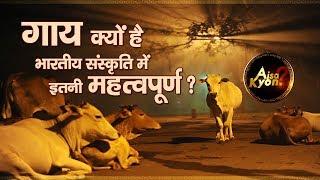 Why are cows considered holy animals in Hinduism| Aisa Kyon