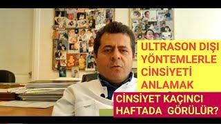 Bebek cinsiyeti en erken ne zaman belli olur?Ultrason dışında bir yolla cinsiyeti anlayabilir miyiz?