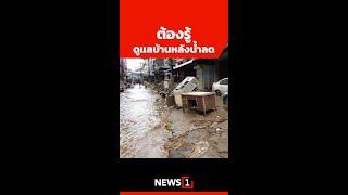 ต้องรู้  ดูแลบ้านหลังน้ำลด (15/09/67) #news1 #ข่าววันนี้ #ข่าวดัง  #น้ำท่วม67 #น้ำท่วมเชียงราย