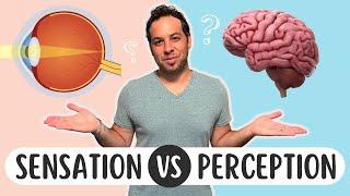 Sensation vs. Perception: What's the Difference?