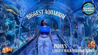 “Exploring Bangalore’s Giant Aquarium & 180-Foot Marine Tunnel: A Must-See Experience!”