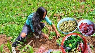 Fui a la Chacra a Cosechar Yuyo para Cocinar | Isabel Quispe