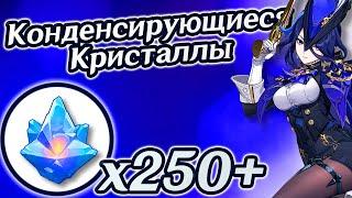 Конденсирующиеся кристаллыКонденсирующиеся кристалловГеншин 4.7Фонтейн 4.7КлориндаGenshin