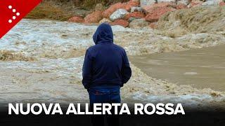 Maltempo, allerta rossa in Emilia Romagna: evacuazioni nelle zone a rischio di Faenza e Traversara