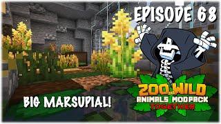 The Opossum Exhibit! - Minecraft SMP: Zoo and Wild Animal (ZAWA) Mod - S3E68