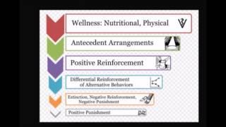 Operant Conditioning/Humane Hierarchy introductory video