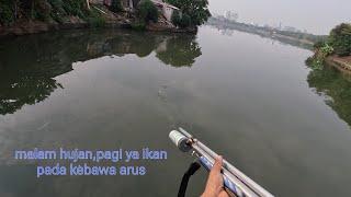 Mengerikan ikan pada kebawa arus,Paser mania,alat tangkap ikan ,ikan reaksi patin lele dll