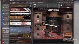 The Gentleman Review Komplete 11 Select Native Instruments | Westlake Pro