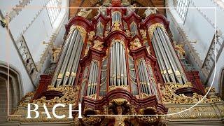 Bach - Pedal-Exercitium BWV 598 - Havinga | Netherlands Bach Society