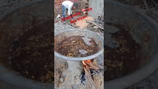 #villagelife mushroom cultivate in home #vlog #farmer