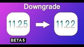 Downgrade iOS 11.2.5 Beta 5 to iOS 11.2.2 in 1 Click!