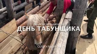 День табунщика. Подготовка к родео.