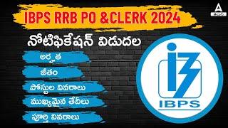 IBPS RRB Notification 2024 Out| IBPS RRB Clerk and PO Notification 2024 Full Details in Telugu