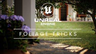 Foliage 101: Tips and Tricks for Adding Grass to Your Unreal Engine 5 Projects