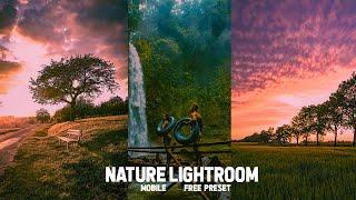 Nature lightroom presets |Landscape Mobile Preset  | Free DNG | Mobile Preset Lightroom